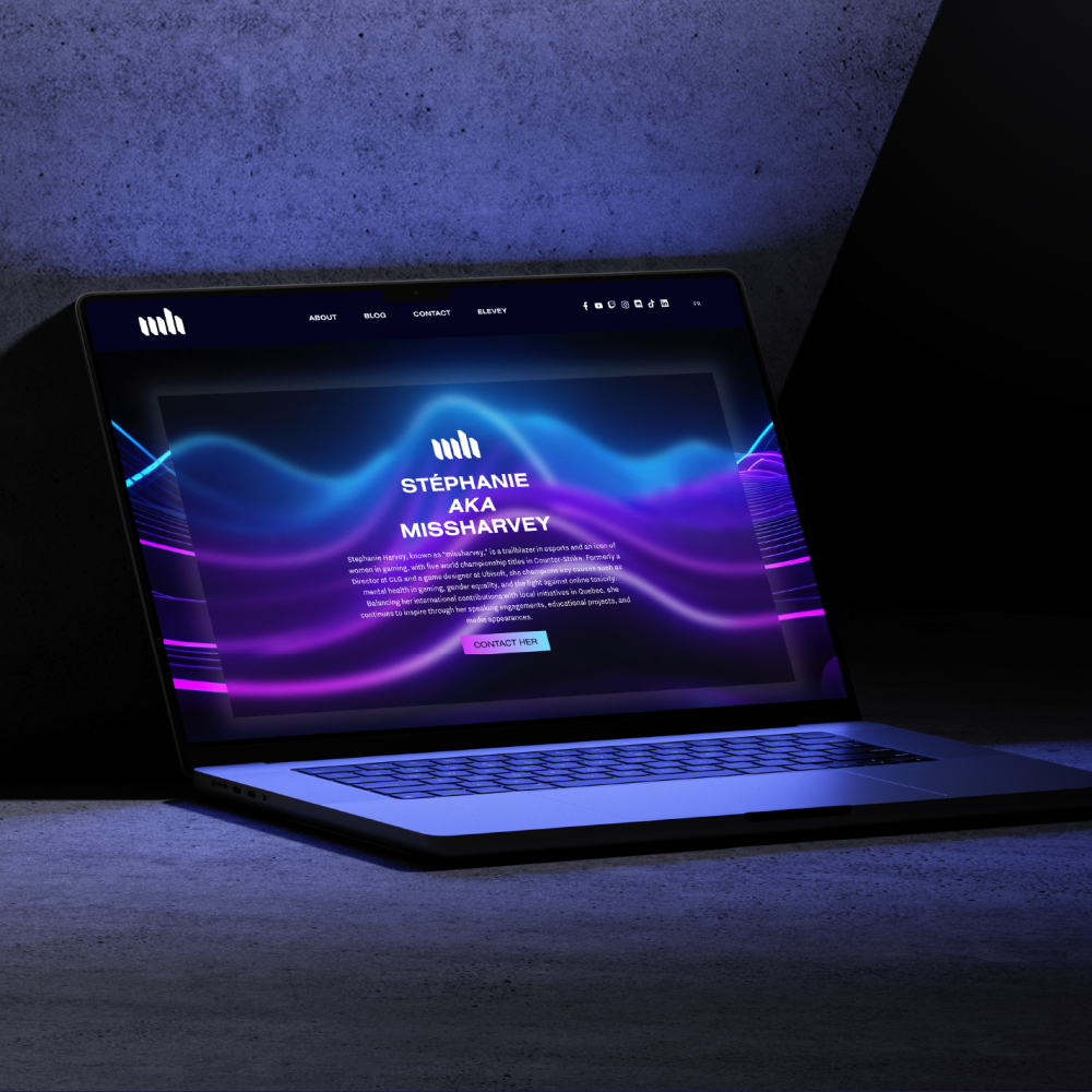 Portfolio_missharvey_siteweb-14