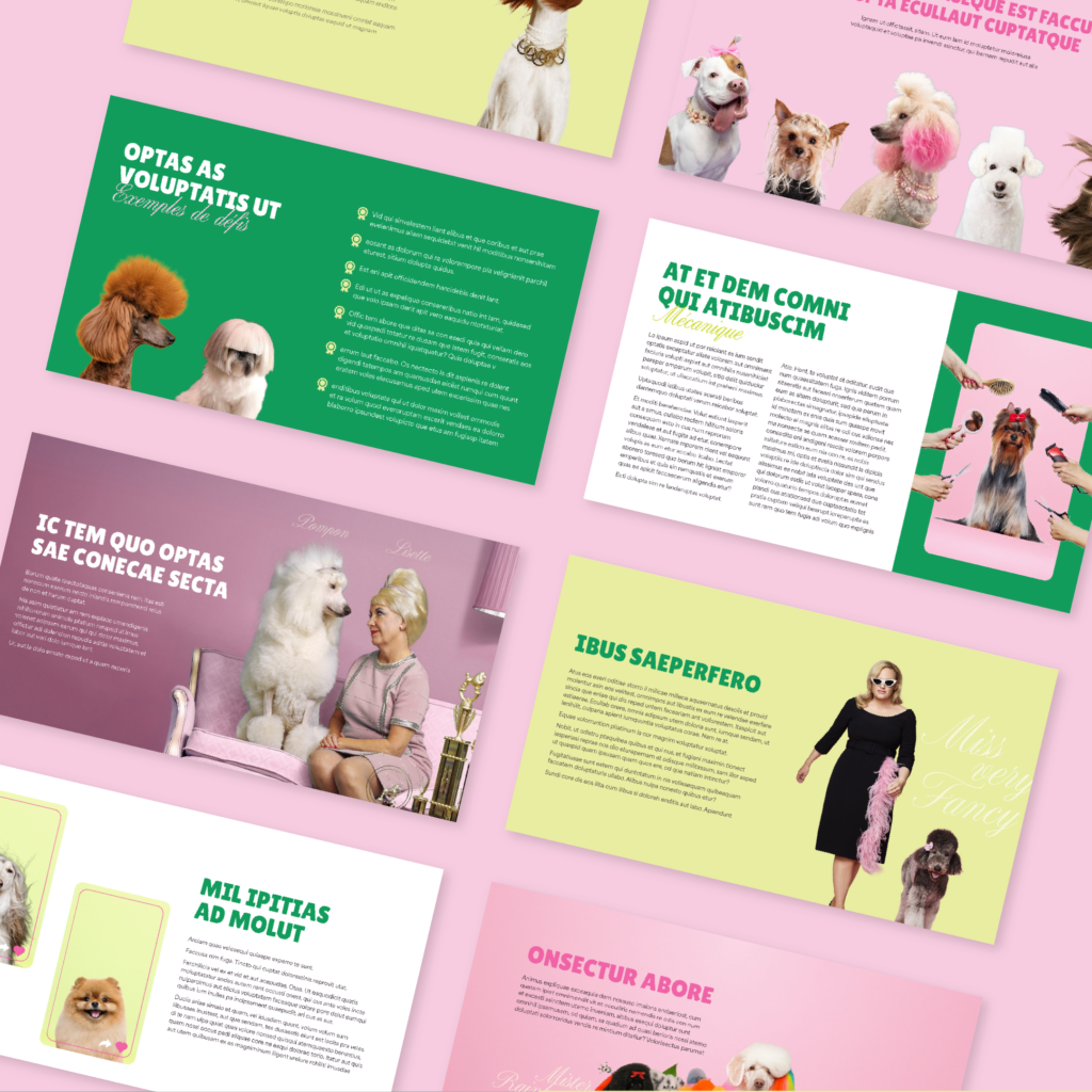 Mis en page d’un Pitch TV sur la base de l’émission Britannique Pooch Perfect